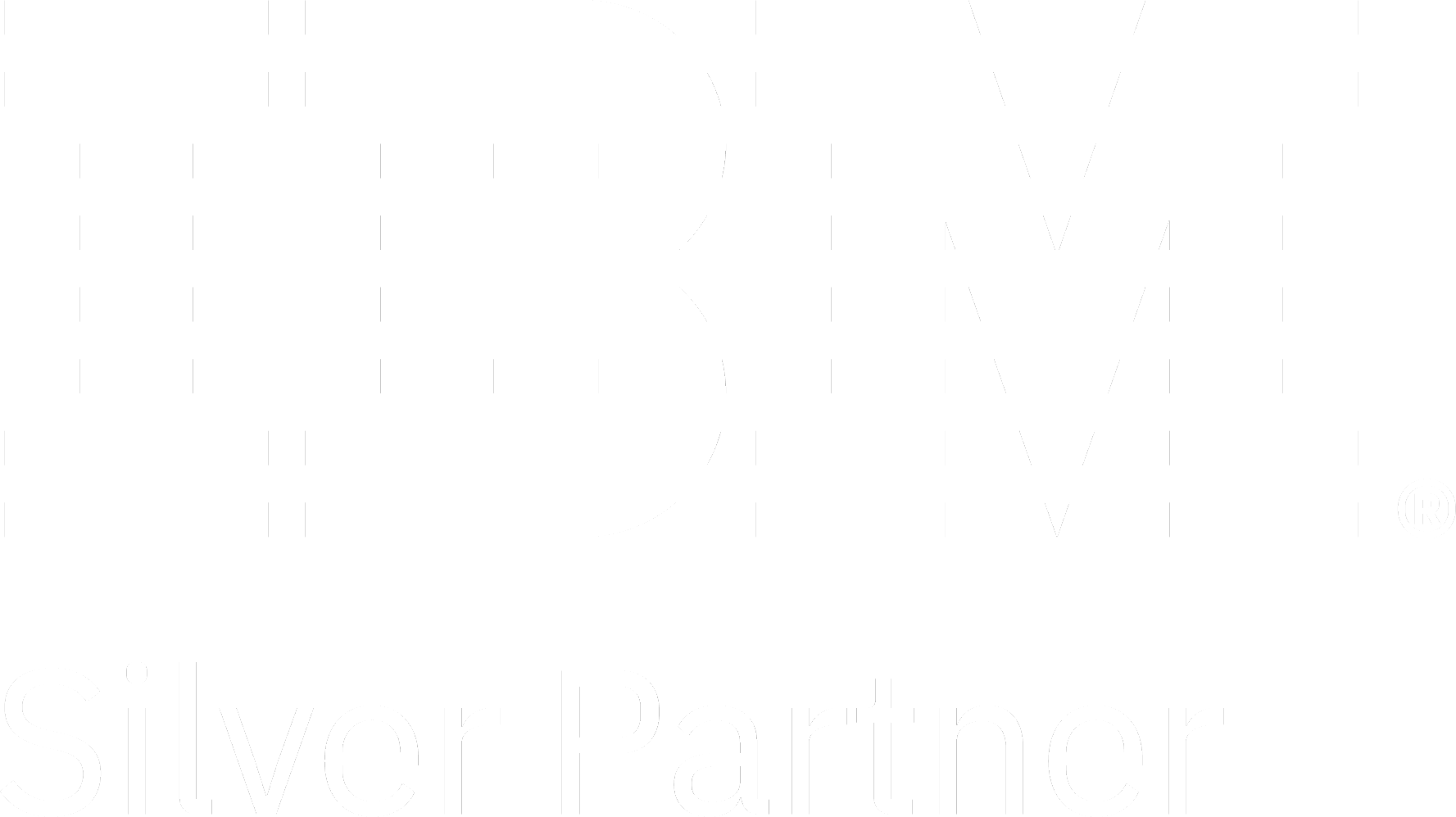 IBM Partner Plus Silver Partner mark